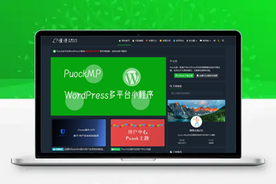 高颜值黑白两种模式的WordPress免费CMS主题Puock